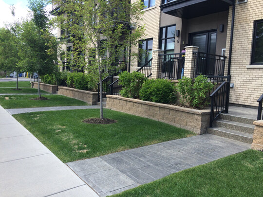 Does A Green Future offer landscape design services?