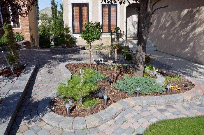 calgary backyard drainage solutions raised gravel bed tree bed