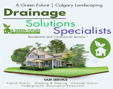 drainage solutions experts a green future Calgary