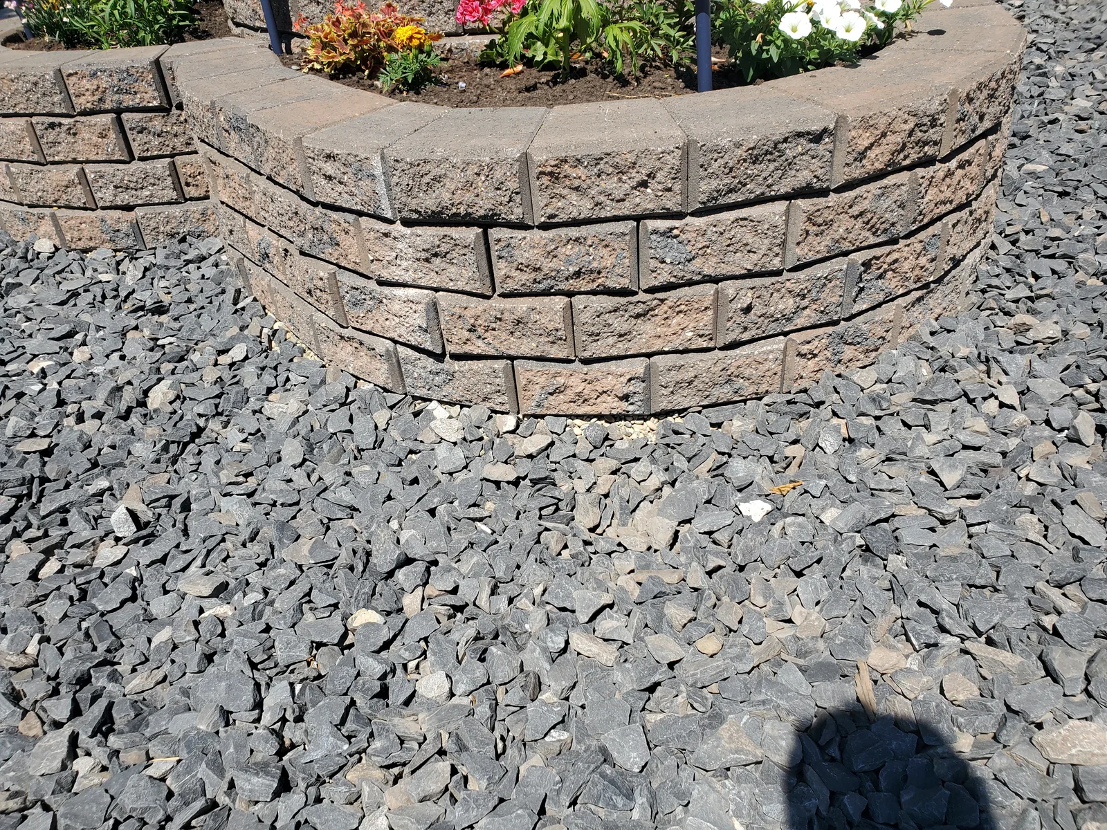 Mahogany SE Calgary Front Yard Xeriscaping photo 10