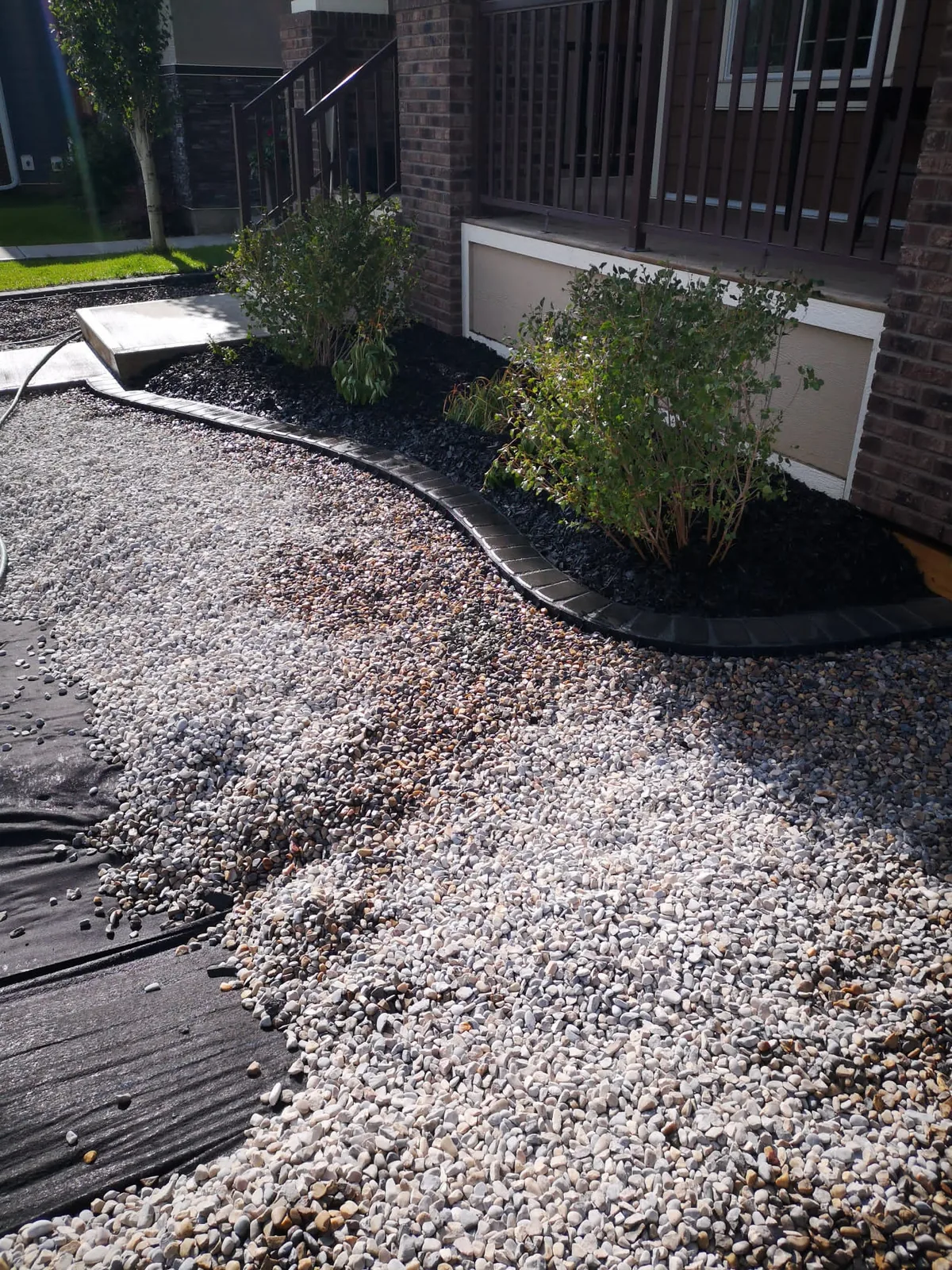 Mahogany SE Calgary Front Yard Xeriscaping photo 1