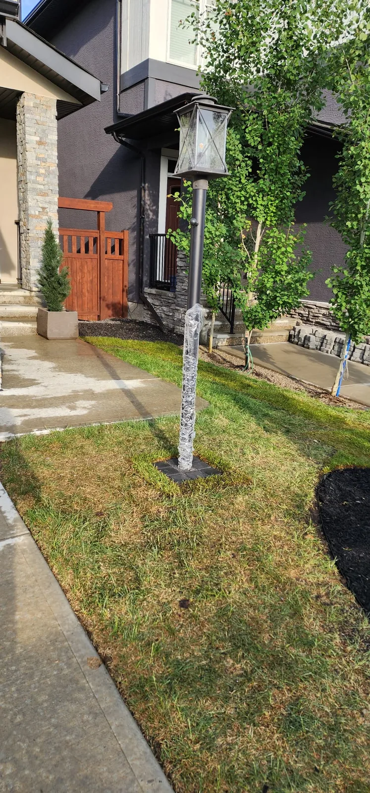 Aspen Woods Dreamscape Curb Appeal photo 8