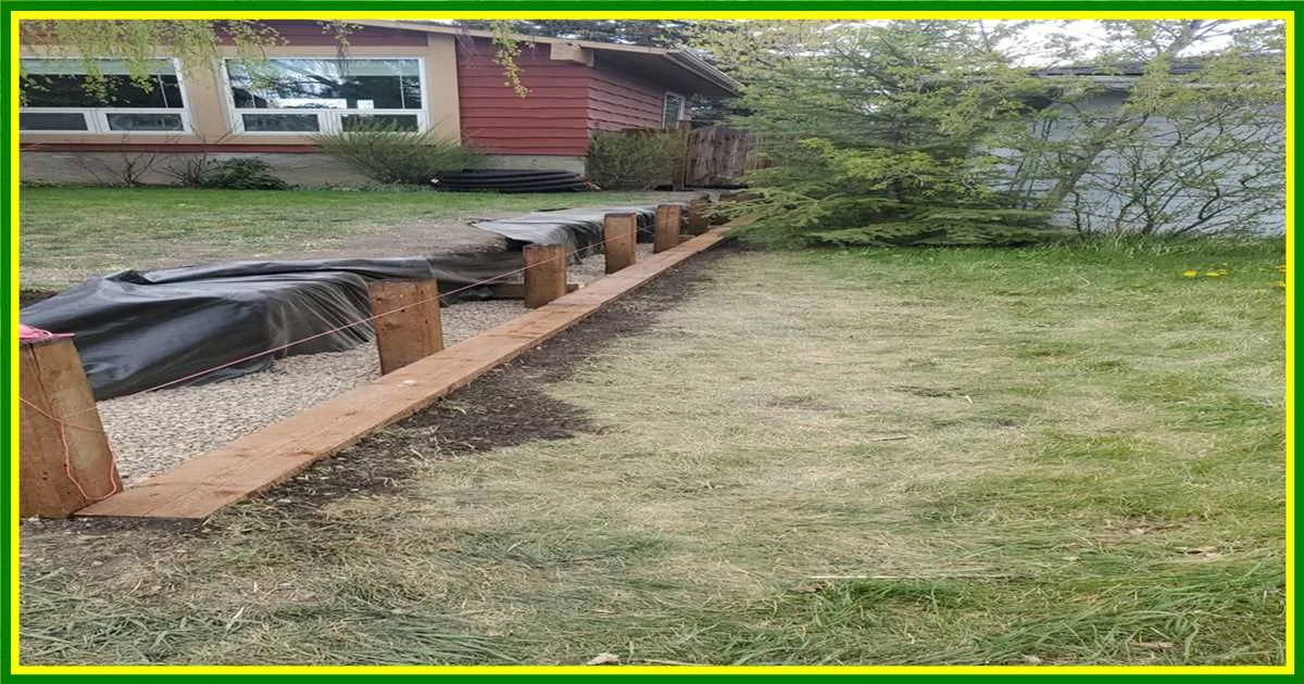 Airdrie Landscaping Patio Drainage Solutions photo 23