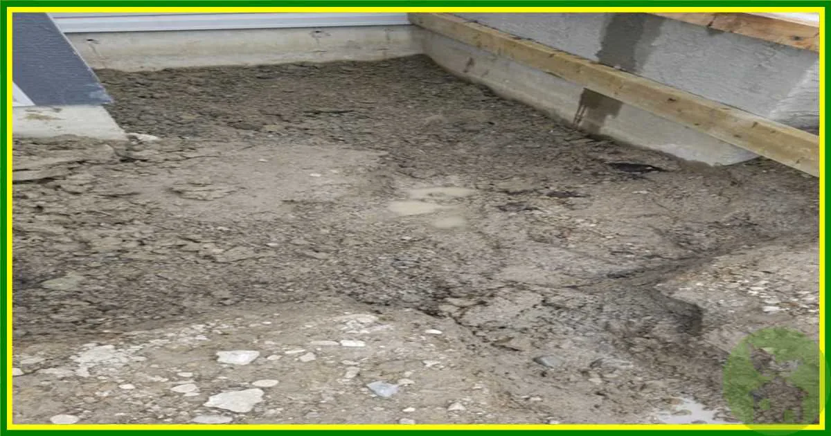 Airdrie Landscaping Patio Drainage Solutions photo 1