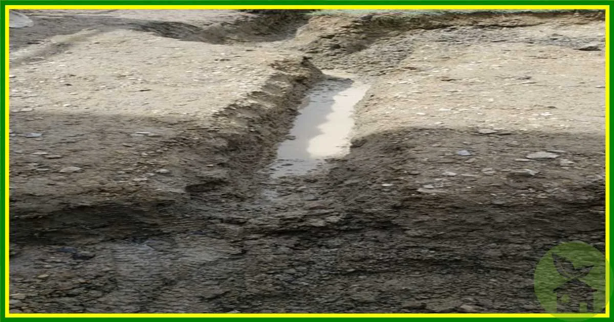 Airdrie Landscaping Patio Drainage Solutions photo 3