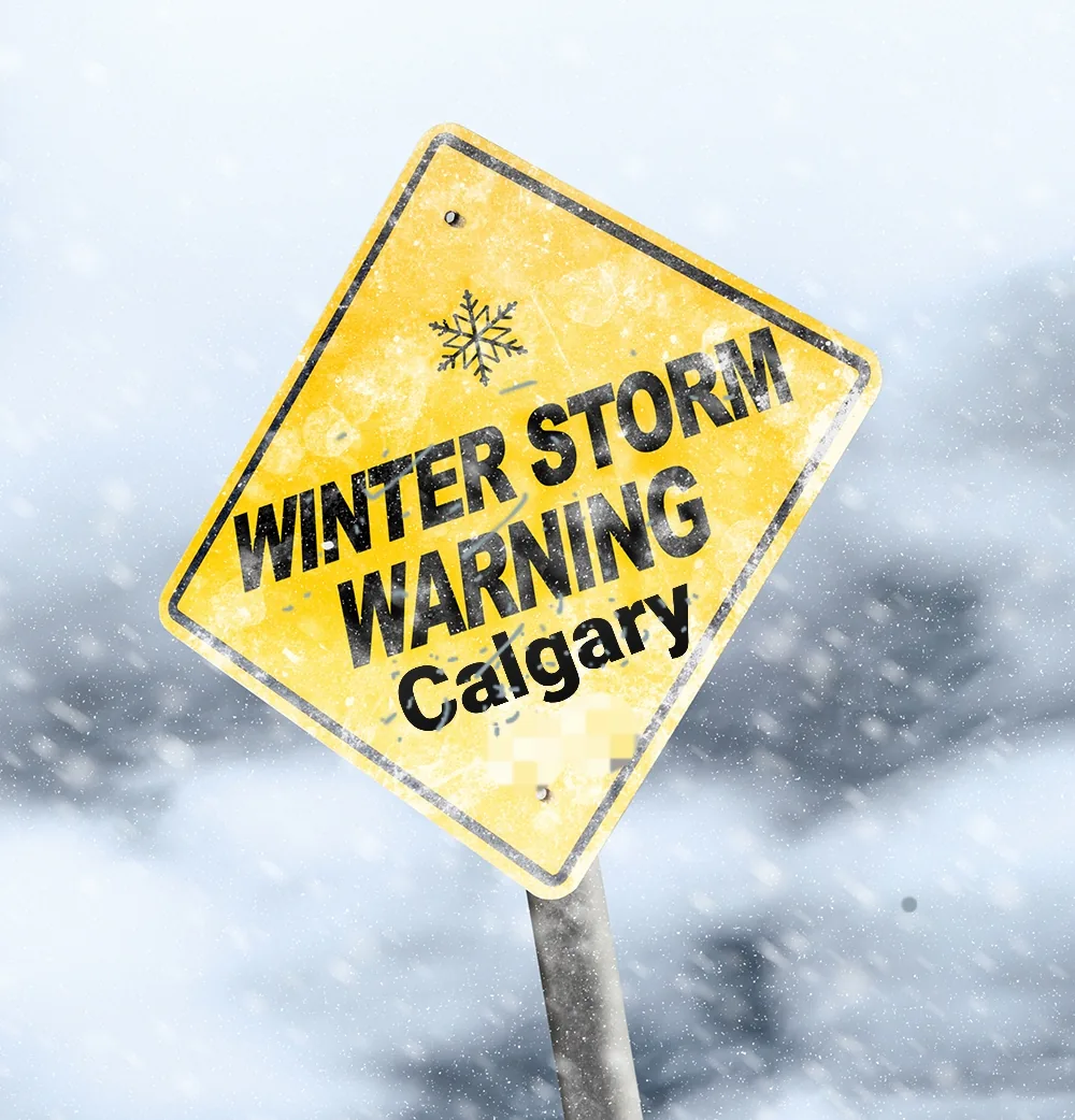 Landscape Calgary photo 24