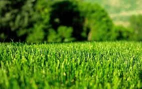 Best artificial turf grass installers Calgary photo 8