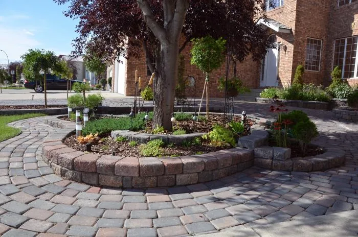 Sustainable Landscaping photo 7