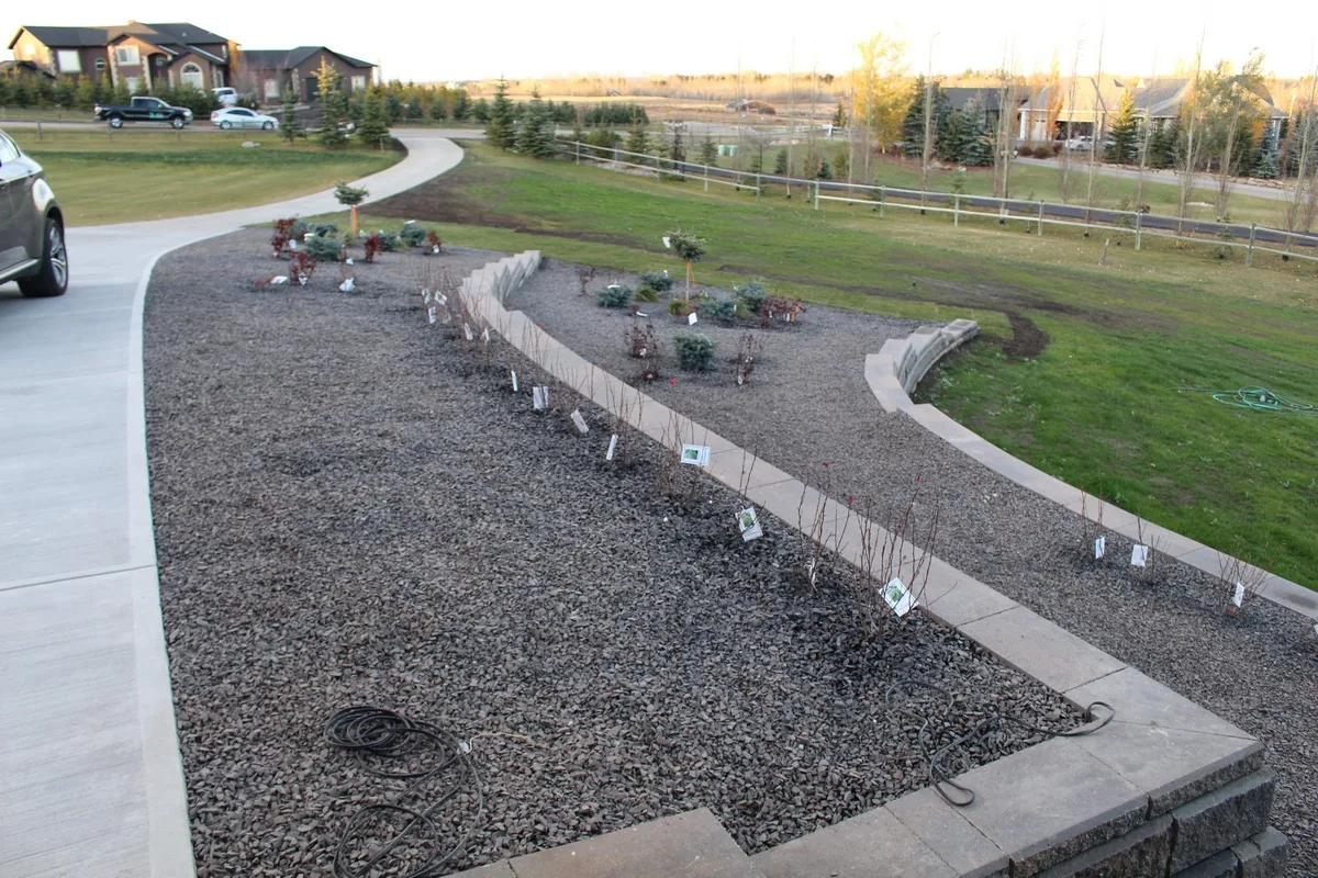 Landscape Calgary photo 7