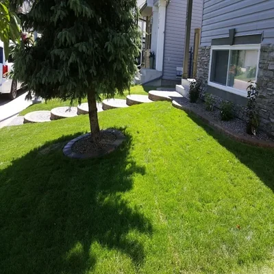 Landscape Steps Calgary photo 16
