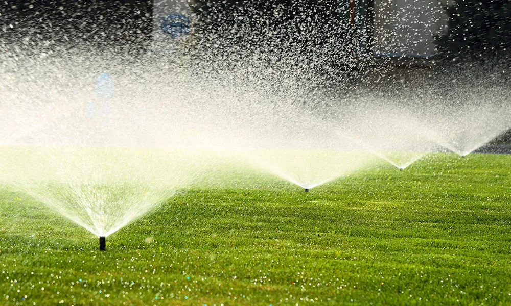 Landscaping Calgary Specialty Services photo 8