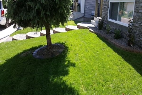 Best-Landscaping-Companies-in-Calgary-AB
