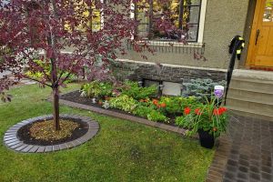 Front Yard Landscaping Design