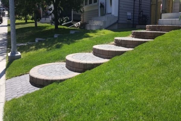 Top-Rated-Landscaping-Services