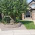 Valley-Ridge-Calgary-front-yard-stone-flowerbeds-cobble-stone-