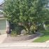 Valley-Ridge-Calgary-front-yard-stone-flowerbeds-cobble-stone-