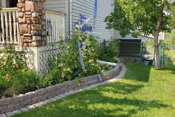 Valley-Ridge-Calgary-front-yard-stone-flowerbeds-cobble-stone-