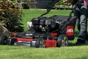 Luxury Residential Ground Maintenance