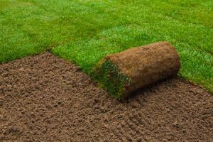 Lawn Installations | Sod