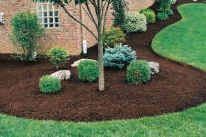 Landscape Mulch Calgary