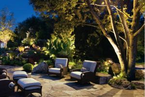 Patio Landscape Lighting