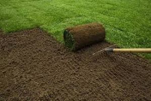 Landscaping sod installation